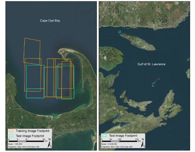 À gauche : emplacements des images collectées dans la baie de Cape Cod qui ont été recueillies et utilisées pour l'entraînement (orange) et le test (vert) du modèle d'apprentissage automatique. À droite : emplacement des images collectées dans le golfe du Saint-Laurent qui ont été utilisées pour le test du modèle (vert).
